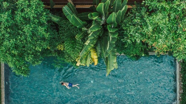 Une vue aérienne d’une piscine rectangulaire, entourée d’une végétation luxuriante et bordée d’une terrasse en bois avec des chaises longues.