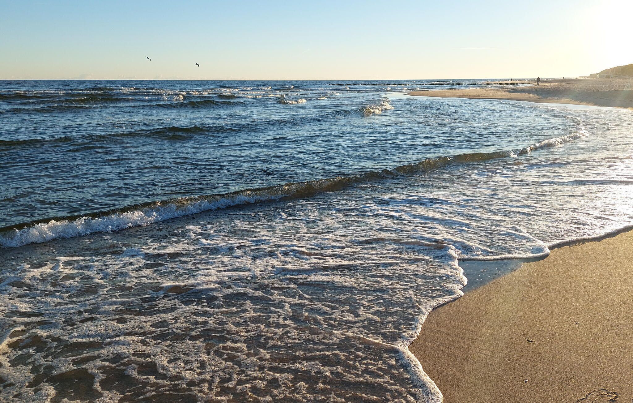 A beach with waves, a pier, and a clear sky.