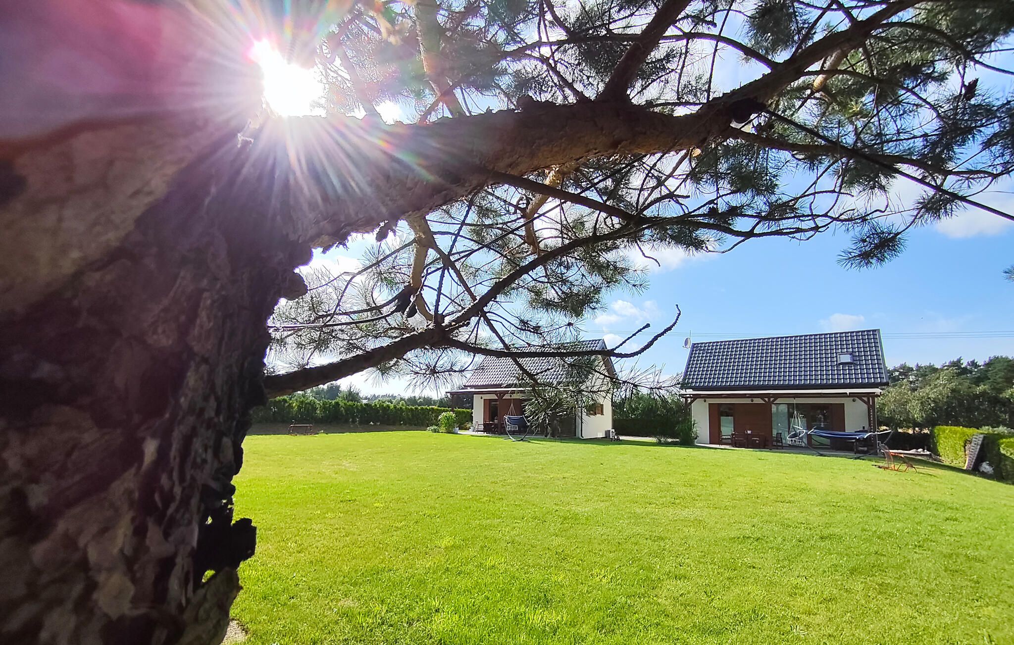 A house with a tiled roof, a lawn, and a tree in the foreground.