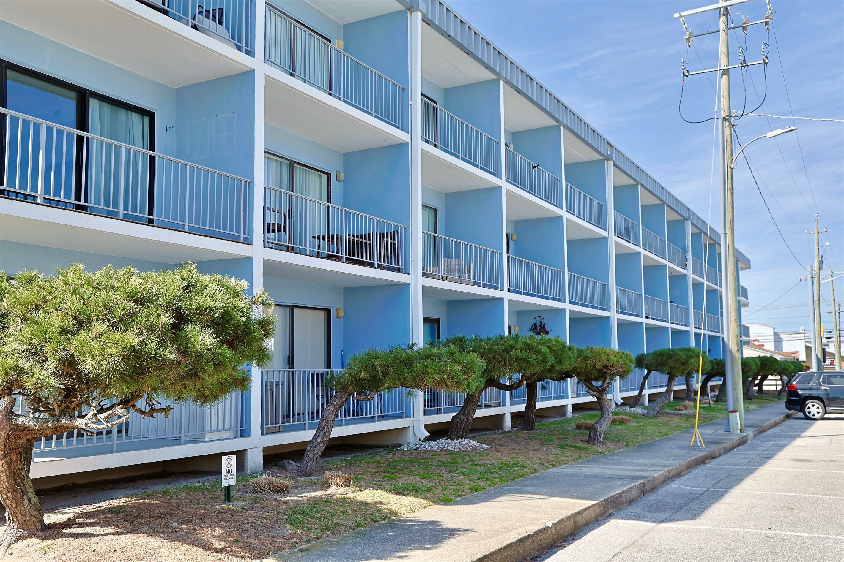 A multi-story hotel with balconies, a parking lot, and a row of pine trees.