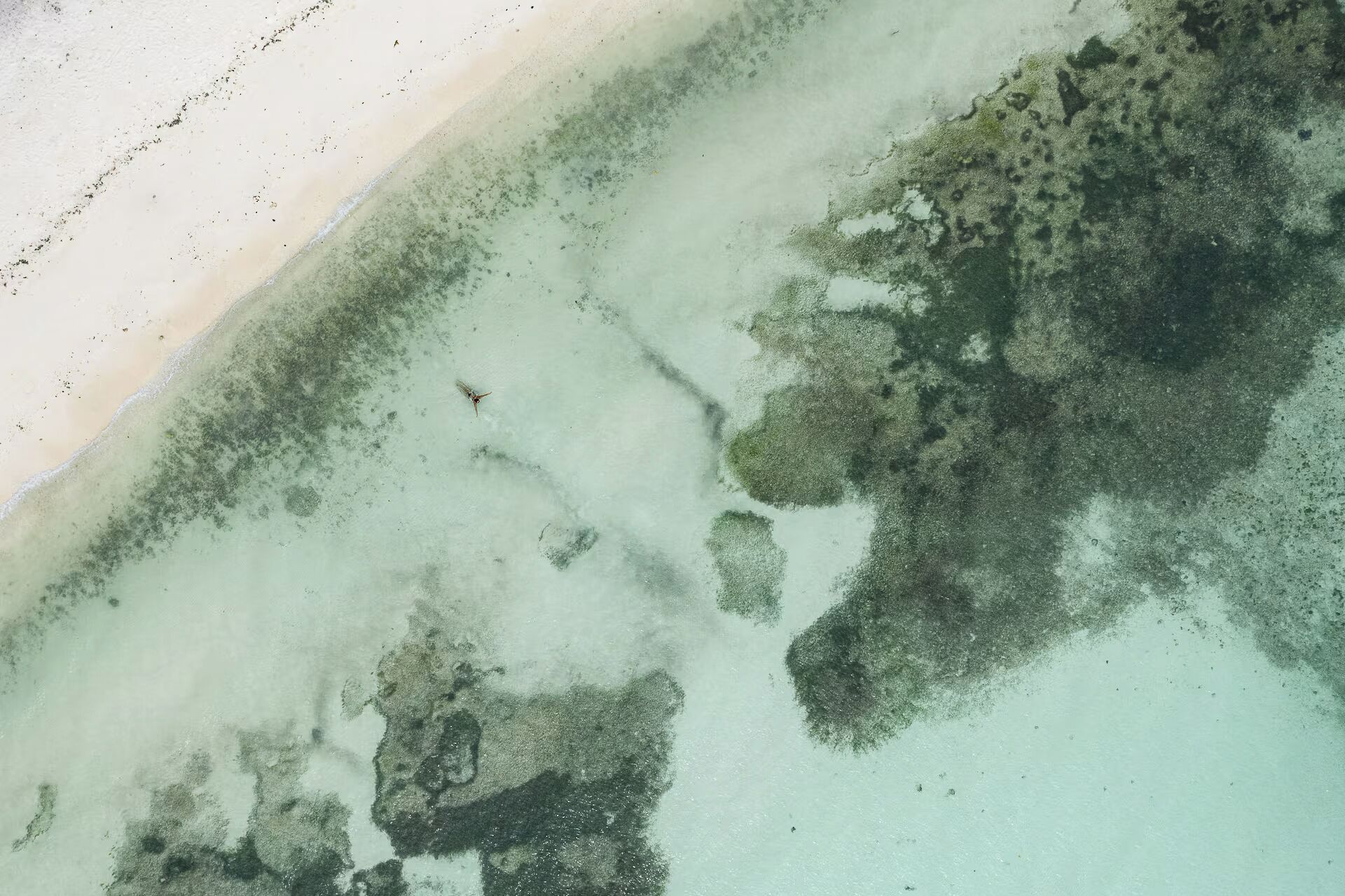 海滩