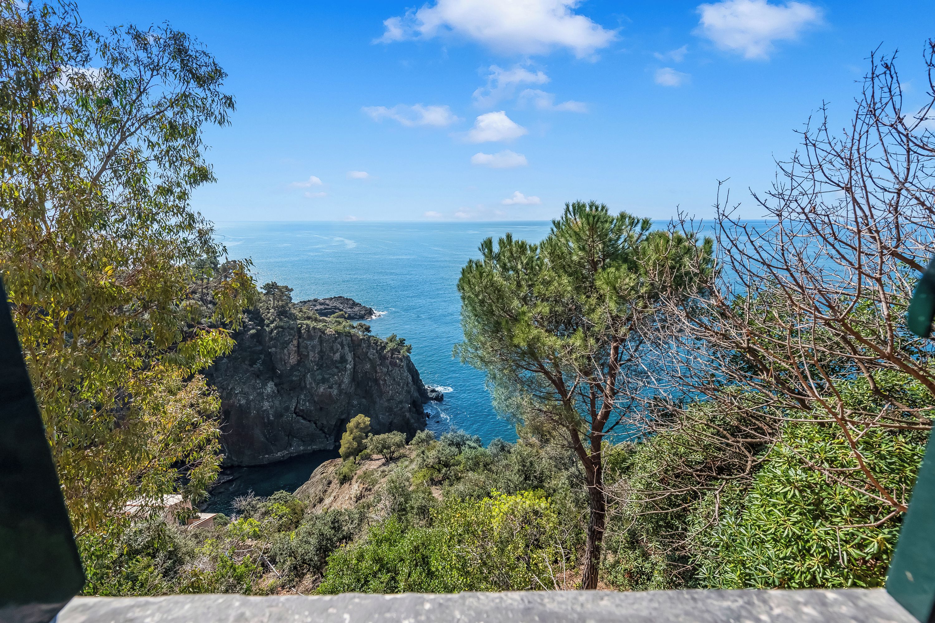 Un paysage côtier caractérisé par un terrain rocheux, une végétation luxuriante et une vue dégagée sur la mer.