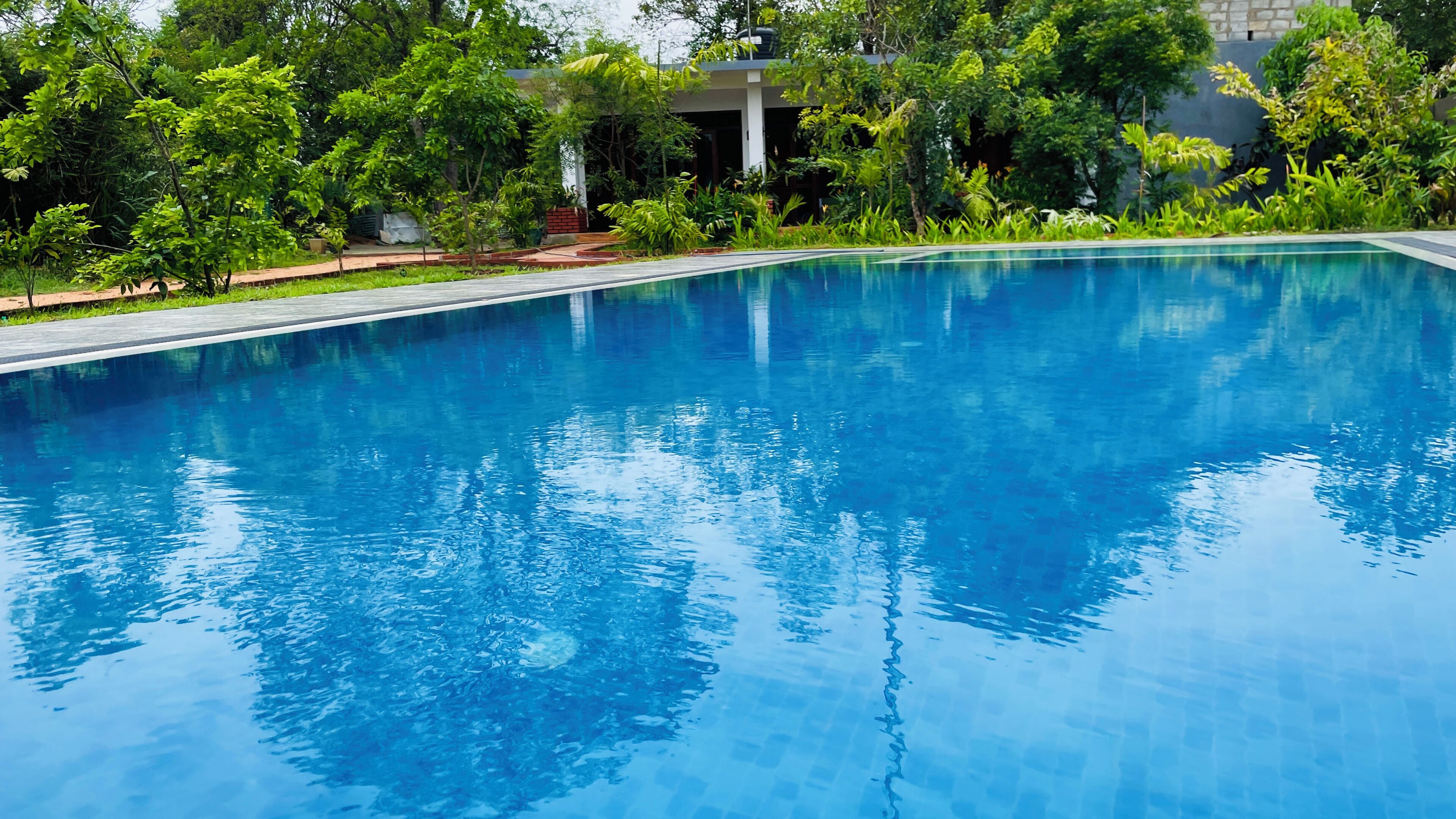 Piscina azul límpida rodeada por vegetação exuberante e um edifício com fachada branca.