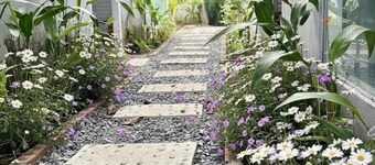 T Homestay Bình Minh Xanh