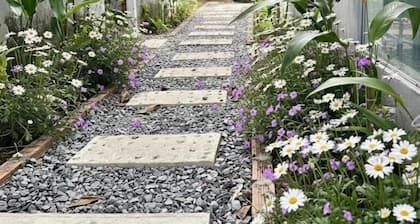 T Homestay Bình Minh Xanh