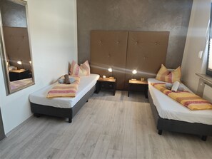 Habitación clásica con 2 camas individuales, baño privado | Escritorio, espacio para trabajar con un portátil, wifi gratis