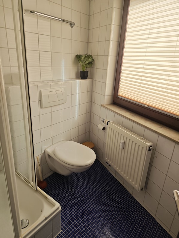 Un baño con inodoro blanco, ducha con puerta de cristal, radiador y ventana con persianas.