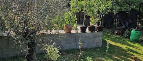 المنطقة المحيطة بالمنشأة