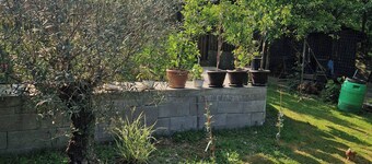 Casa Larisa&Andrei!!