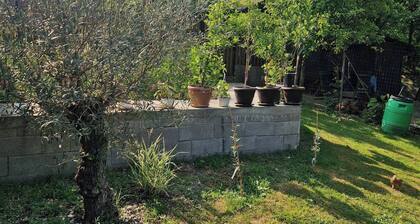 Casa Larisa&Andrei!!