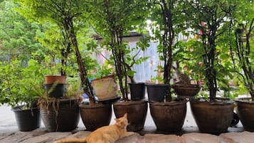 House 38 | Exteriör