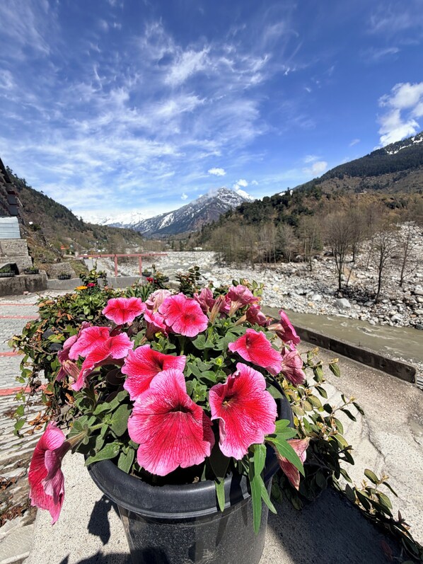 Exterior detail - Hotel Green Tara (Manali)