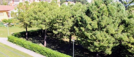 المنطقة المحيطة بالمنشأة