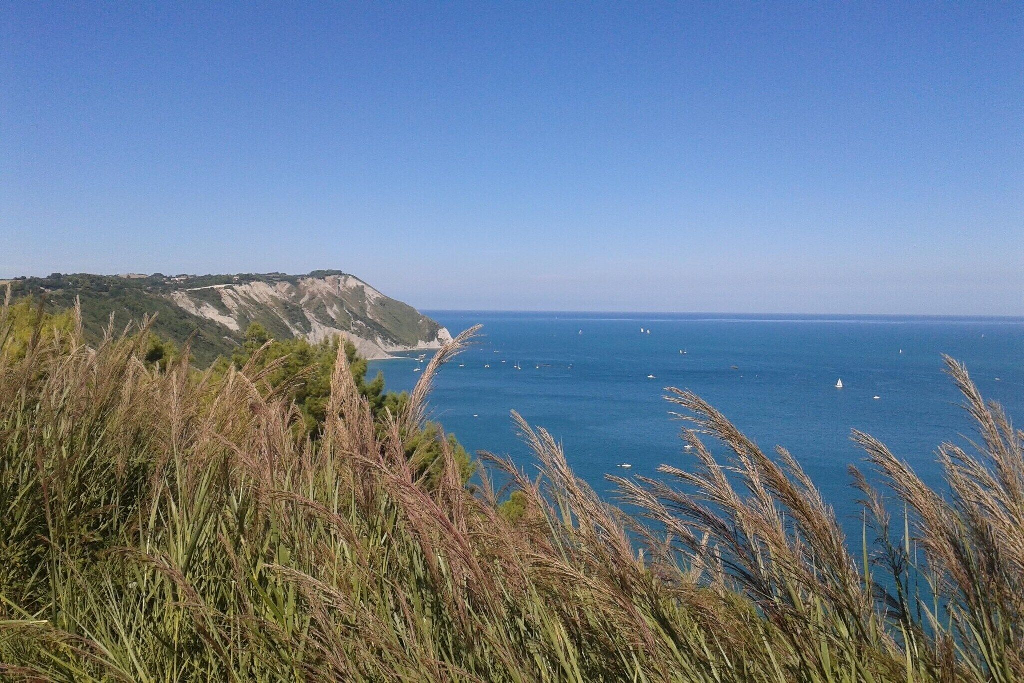 A coastal landscape with a clear sky, a body of water, and a distant shoreline.