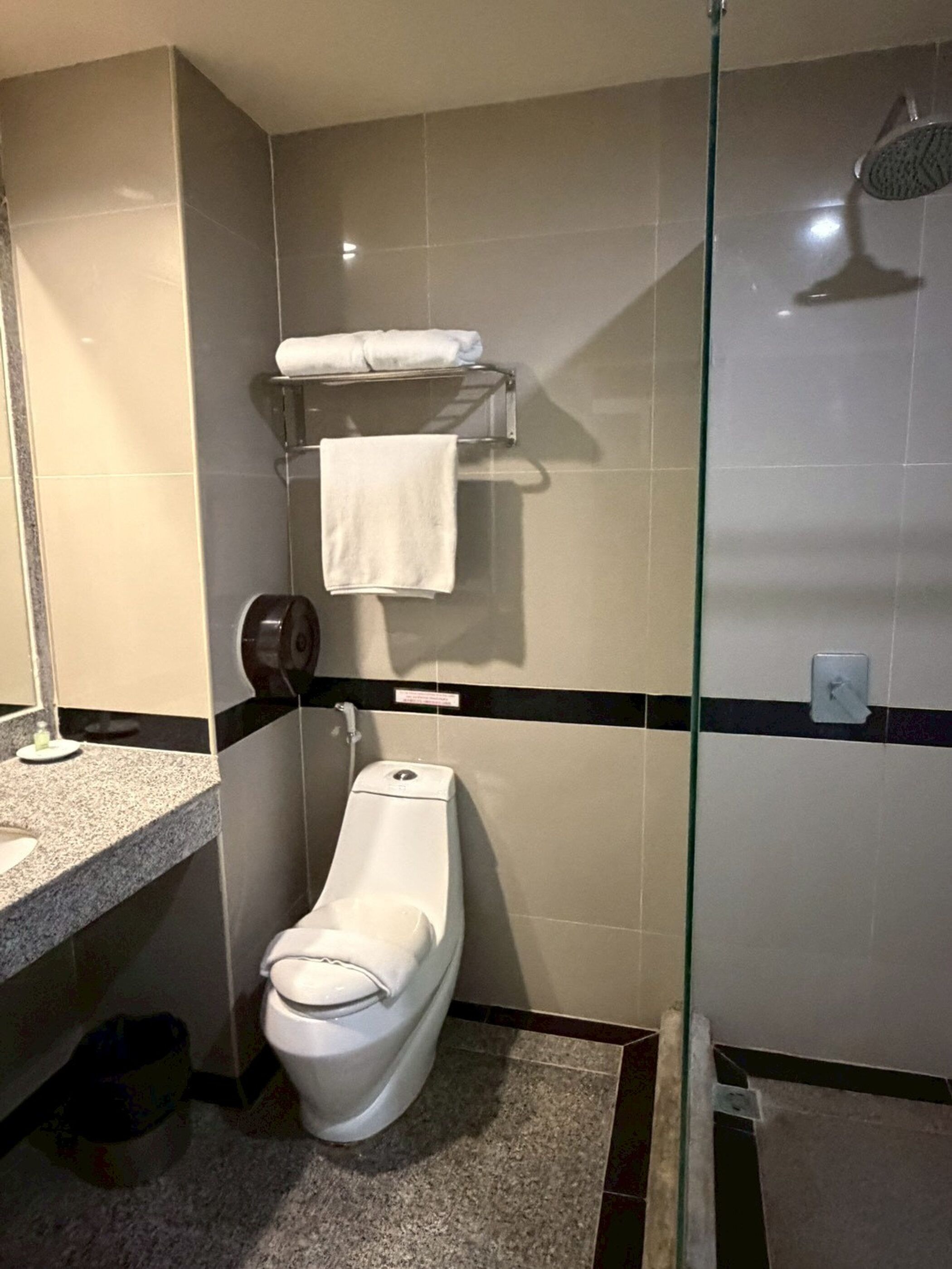 A bathroom with a toilet, a glass shower enclosure, and a towel rack with two towels.