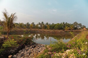 Miscellaneous - Saiprasad Tiger Resorts - Tadoba (Chimur)