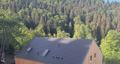 Cuckoo Clock Soul (Triberg) - Balcony and terrace
