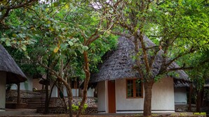 Thatched-roof huts with stone steps leading up to them, surrounded by greenery. - Nalipiri eco resort  (Mulanje)