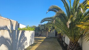Un sendero pavimentado bordeado por muros y palmeras, que lleva a un edificio a lo lejos.