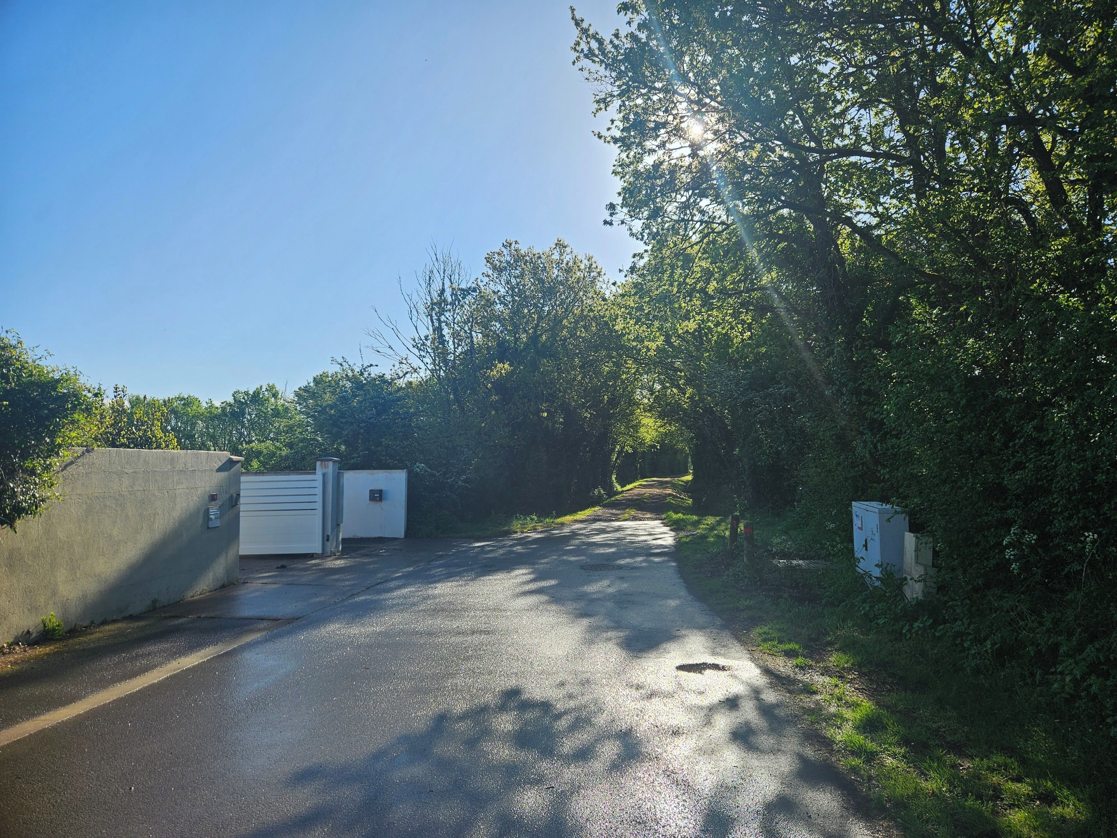 Une route asphaltée mène à une entrée fermée par un portail, qui est elle-même entourée d’arbres.