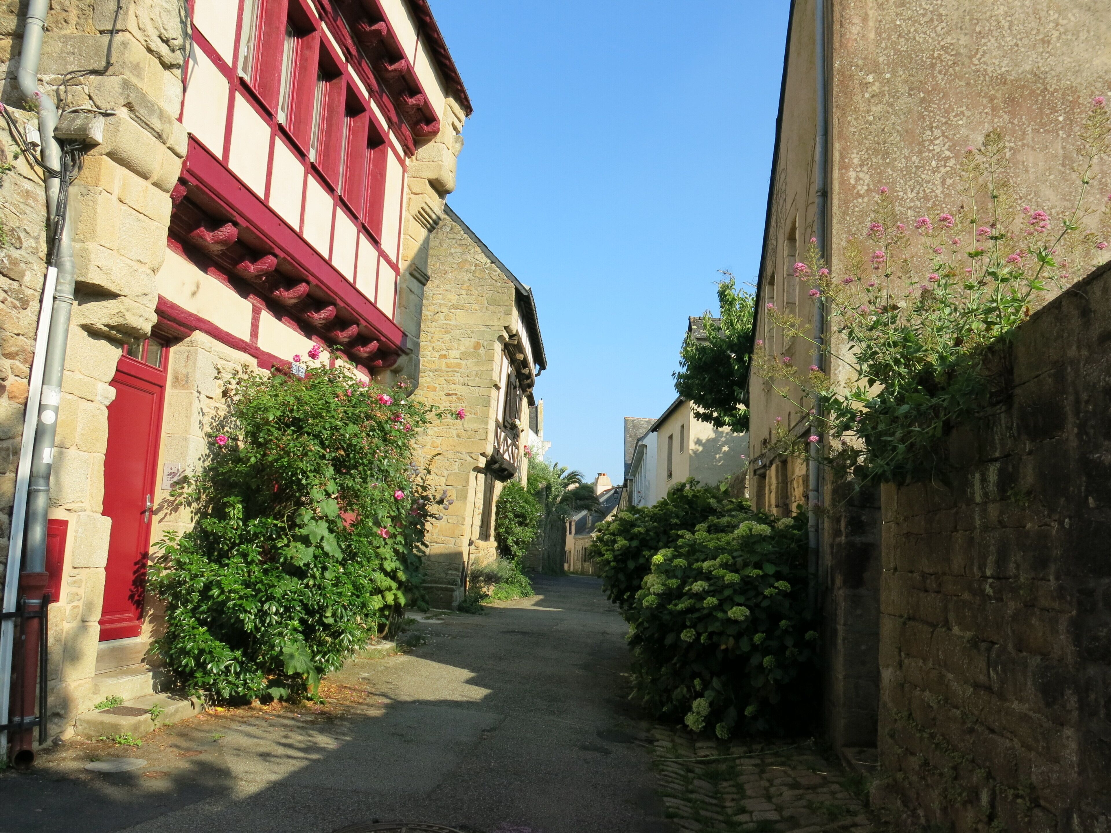 Une rue étroite bordée de bâtiments en pierre, avec une porte rouge et une végétation luxuriante.