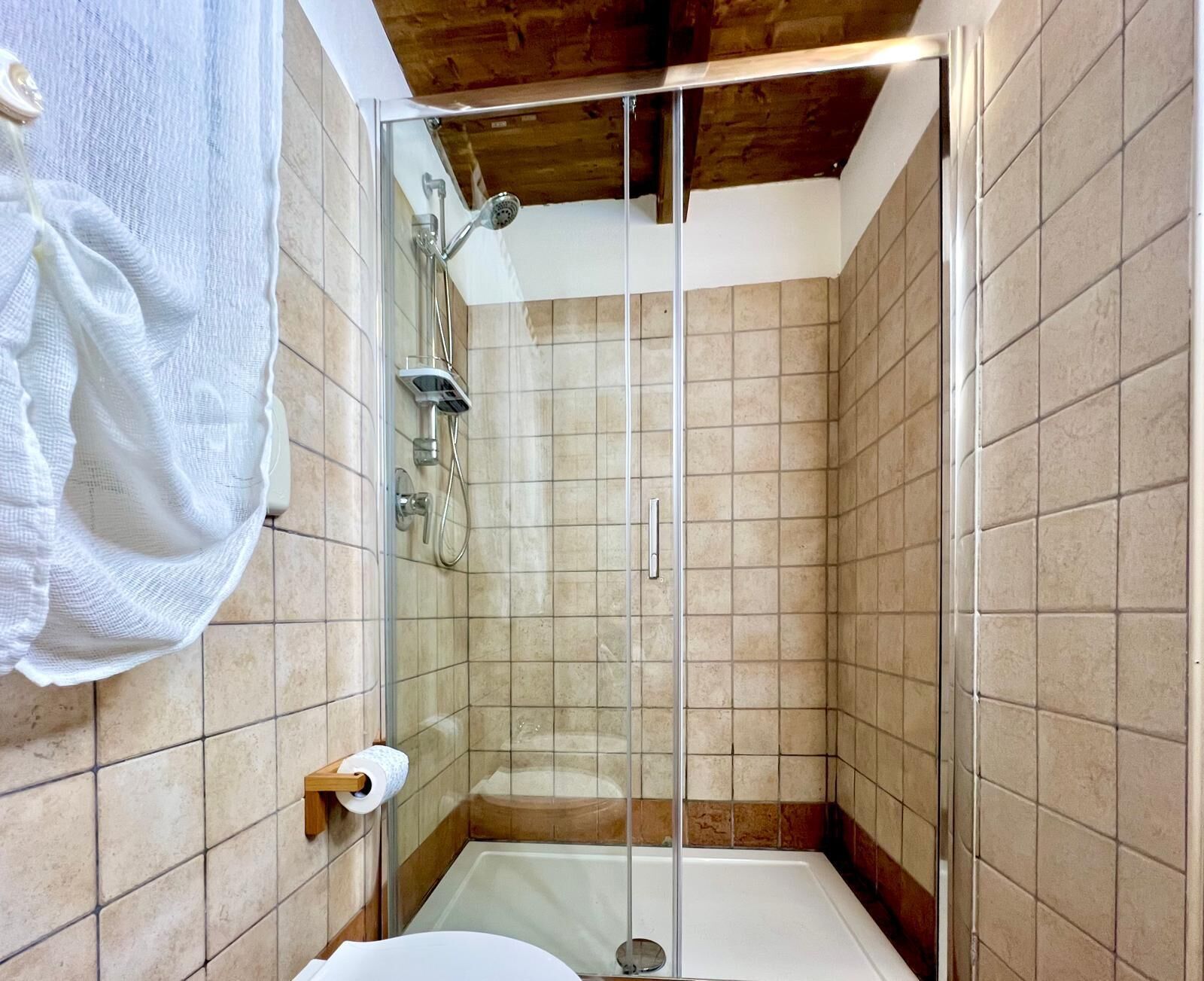 Une douche avec une porte en verre, des toilettes et un porte-serviettes.