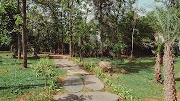 Classic Bungalow, Garden View | Property grounds