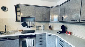 Private kitchen - GNA01 - Large apartment with 7 beds, large kitchen, 2 balconies & parking lot (Lüdenscheid)