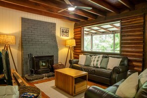 Fernseher, Kamin