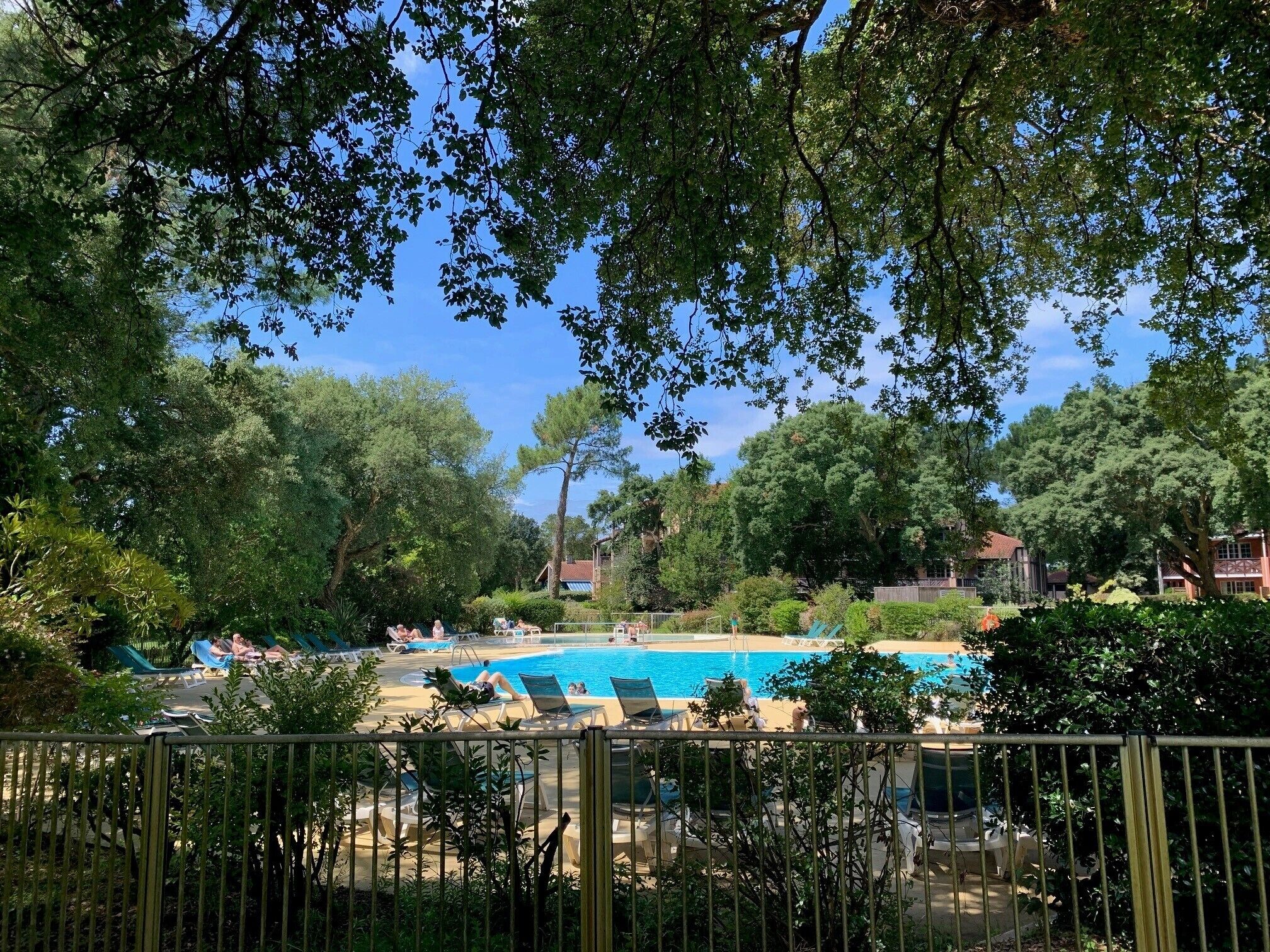 Ein Poolbereich mit Liegestühlen und einem Pool, umgeben von Bäumen.