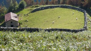 Ein Haus aus Stein mit rotem Dach, umgeben von einer Steinmauer und einem grasbewachsen Feld mit Schafen.