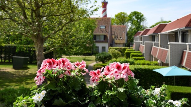 En have med pink farver, et fyrtårn og en række huse med røde tage.