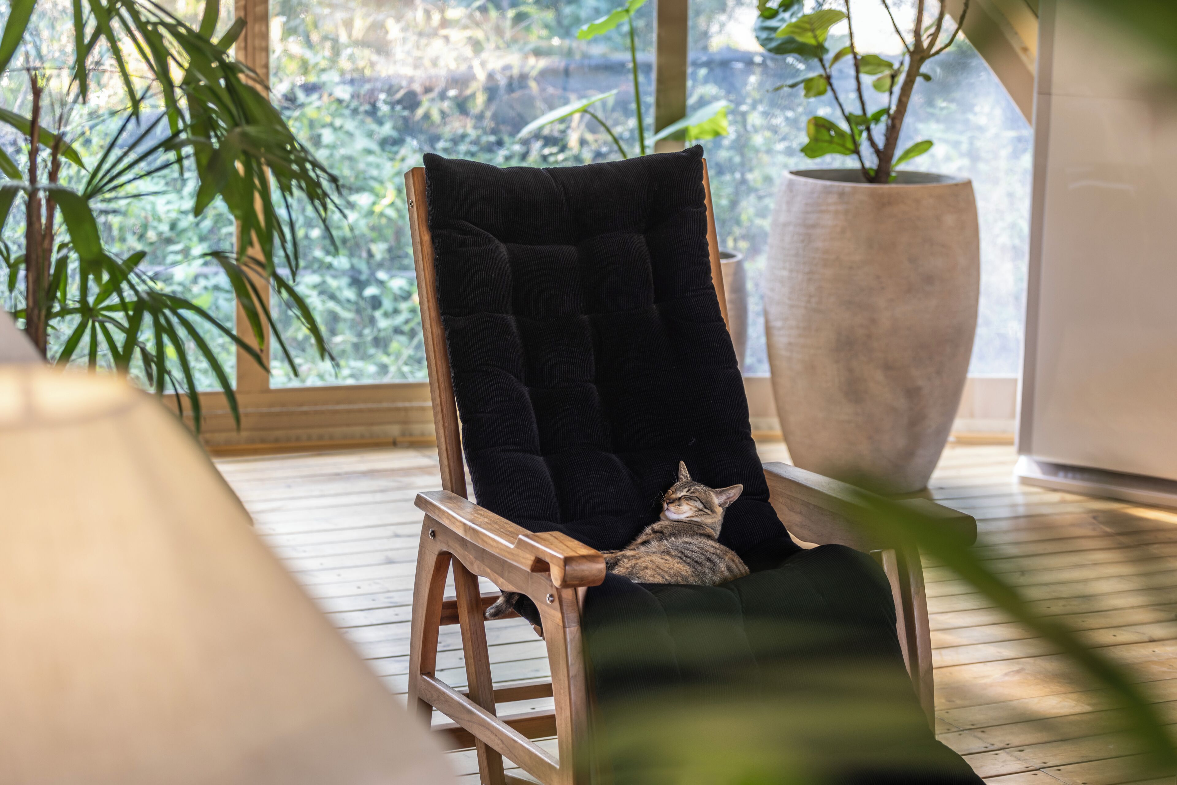 Una silla de madera con cojín, una planta grande en maceta y vistas de follaje a través de una ventana.
