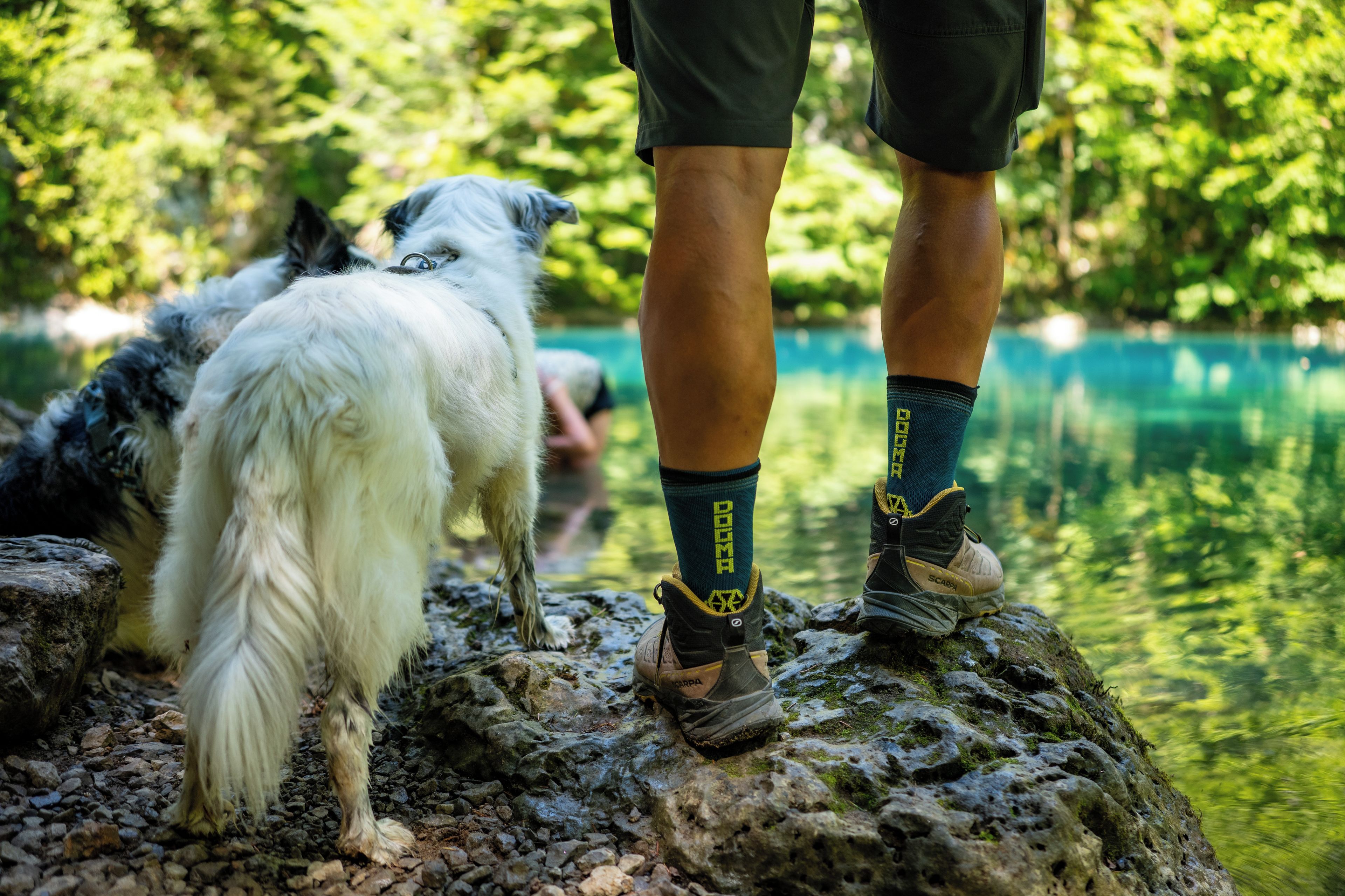 Una persona de pie sobre una roca junto a un cuerpo de agua, con un perro cerca.