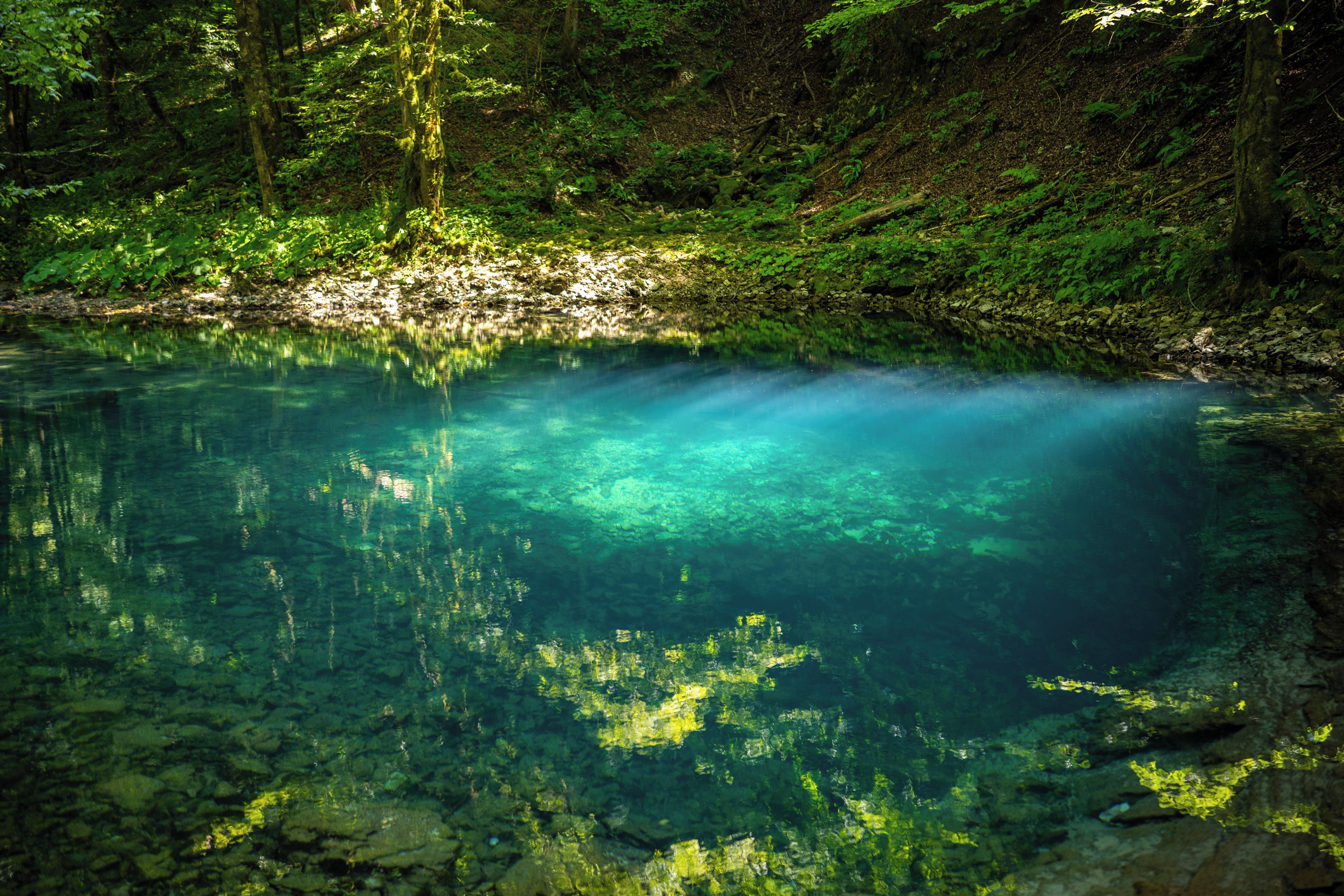 A clear lake surrounded by dense forest.