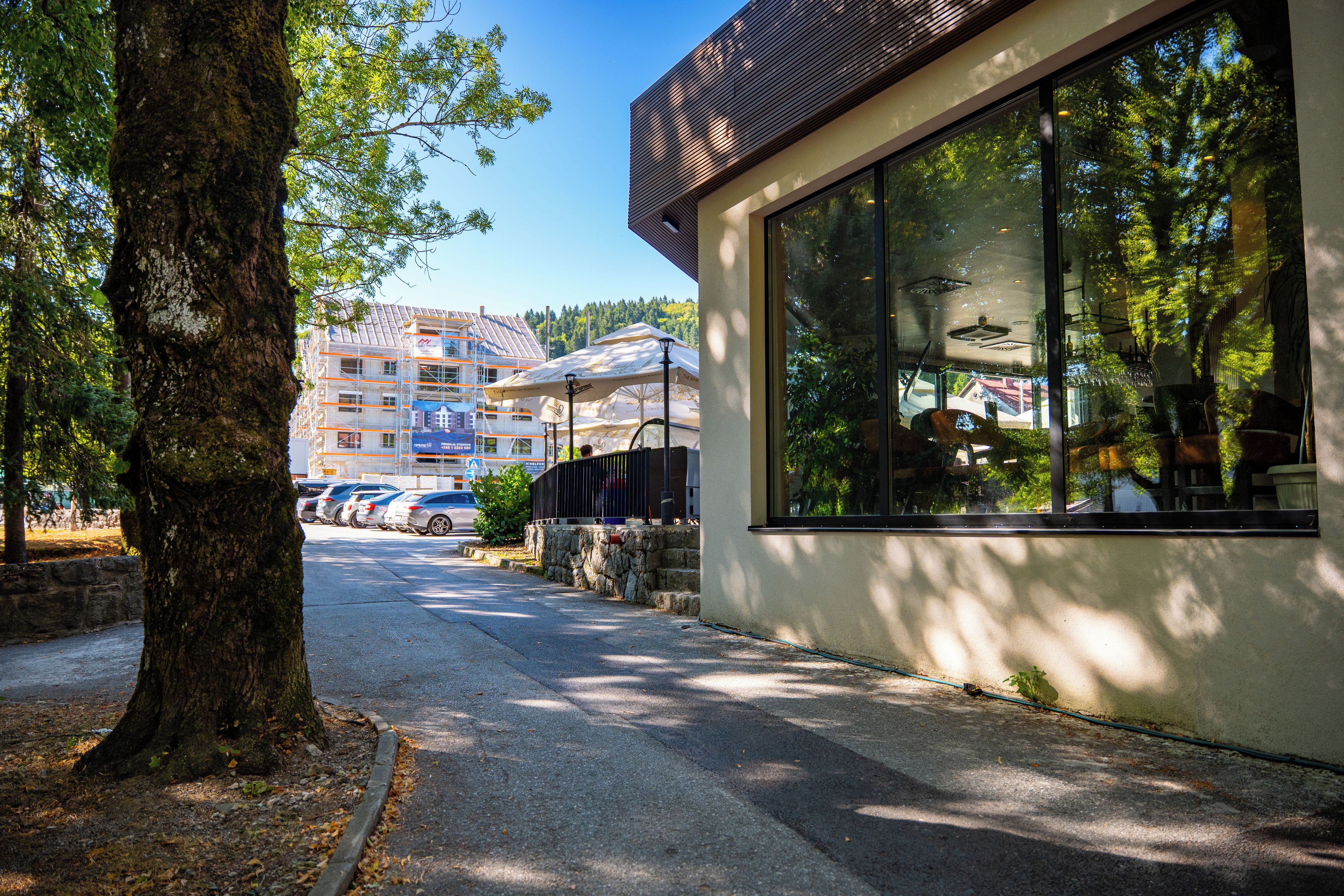 A building with large windows, a tree-lined street, and parked cars.