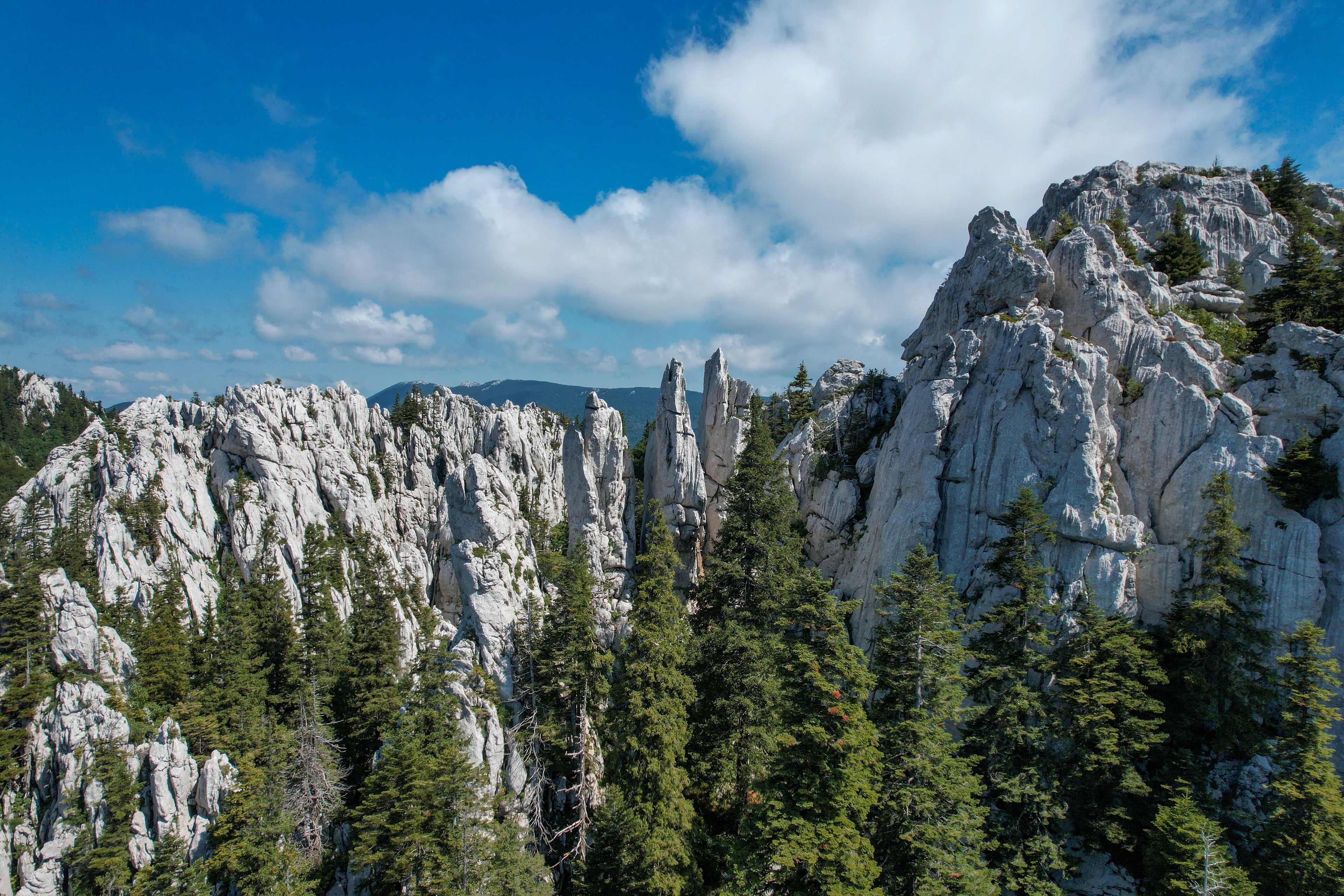 A mountainous landscape with rocky formations and dense forest.