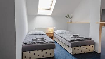 A small, compact room with two single beds, a skylight, a radiator, a bedside table, and a small shelf with a plant.