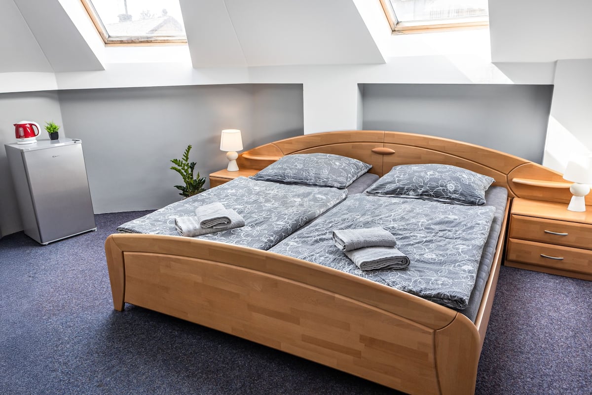 A bedroom with a wooden bed, two nightstands, a small desk, a potted plant, and a view through skylights.