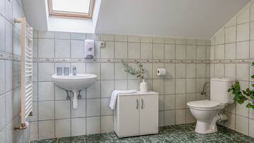 Un bagno con finestra a lucernario, un lavandino, un armadietto e un water.