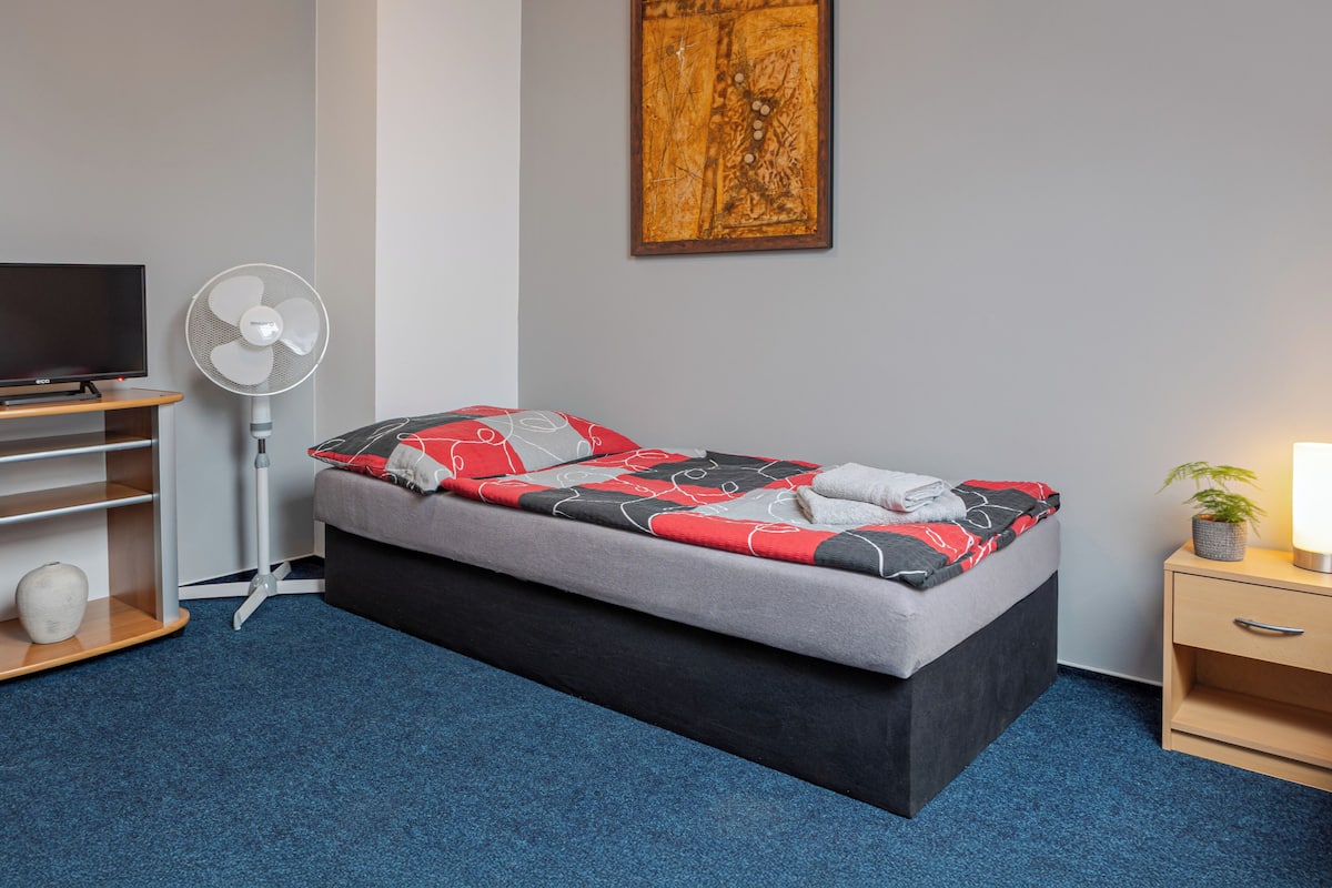 A bedroom with a bed, a TV, a fan, a painting, and a bedside table with a lamp.