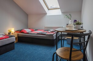 Habitación pequeña con tragaluz, una cama con colcha estampada, una mesita con una planta y una silla.