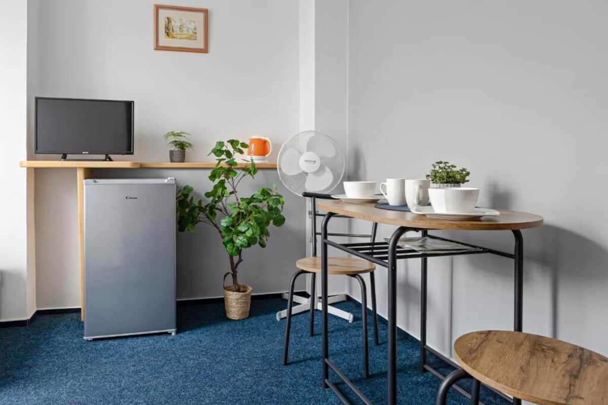 A kitchenette with a refrigerator, a TV, a fan, a small table with chairs, and a potted plant.