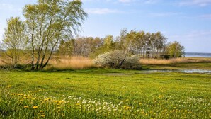 A natural landscape with a grassy field, trees, and a body of water. - Private vacation home with large terrace & garden - quiet location near Bodden/Baltic Sea (Saal)