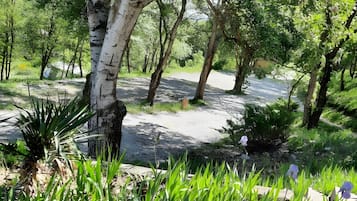 Áreas de la propiedad