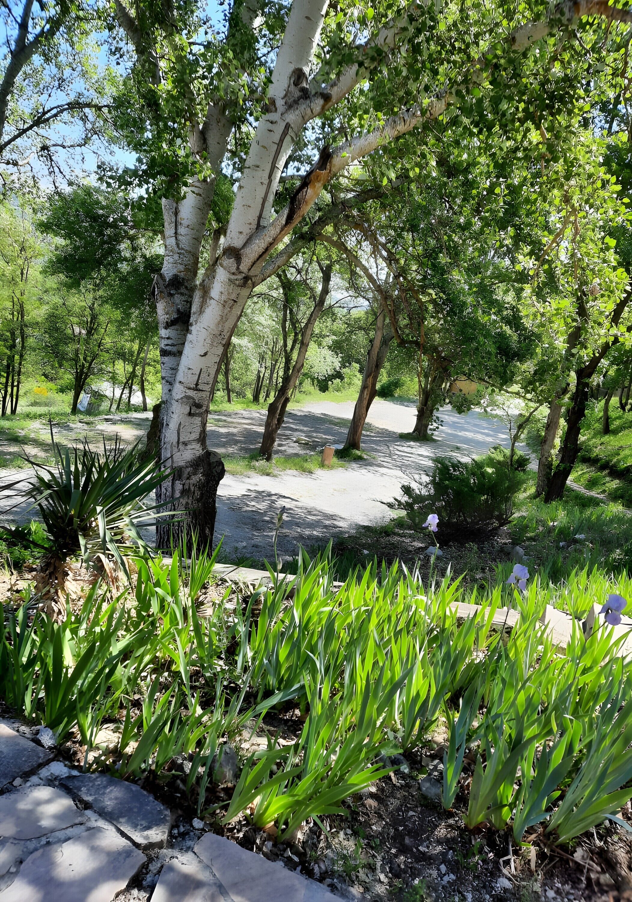 Jardines del alojamiento