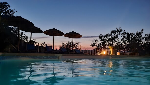 Une piscine dotée de parasols et de chaises longues, entourée d’arbres et d’une clôture.