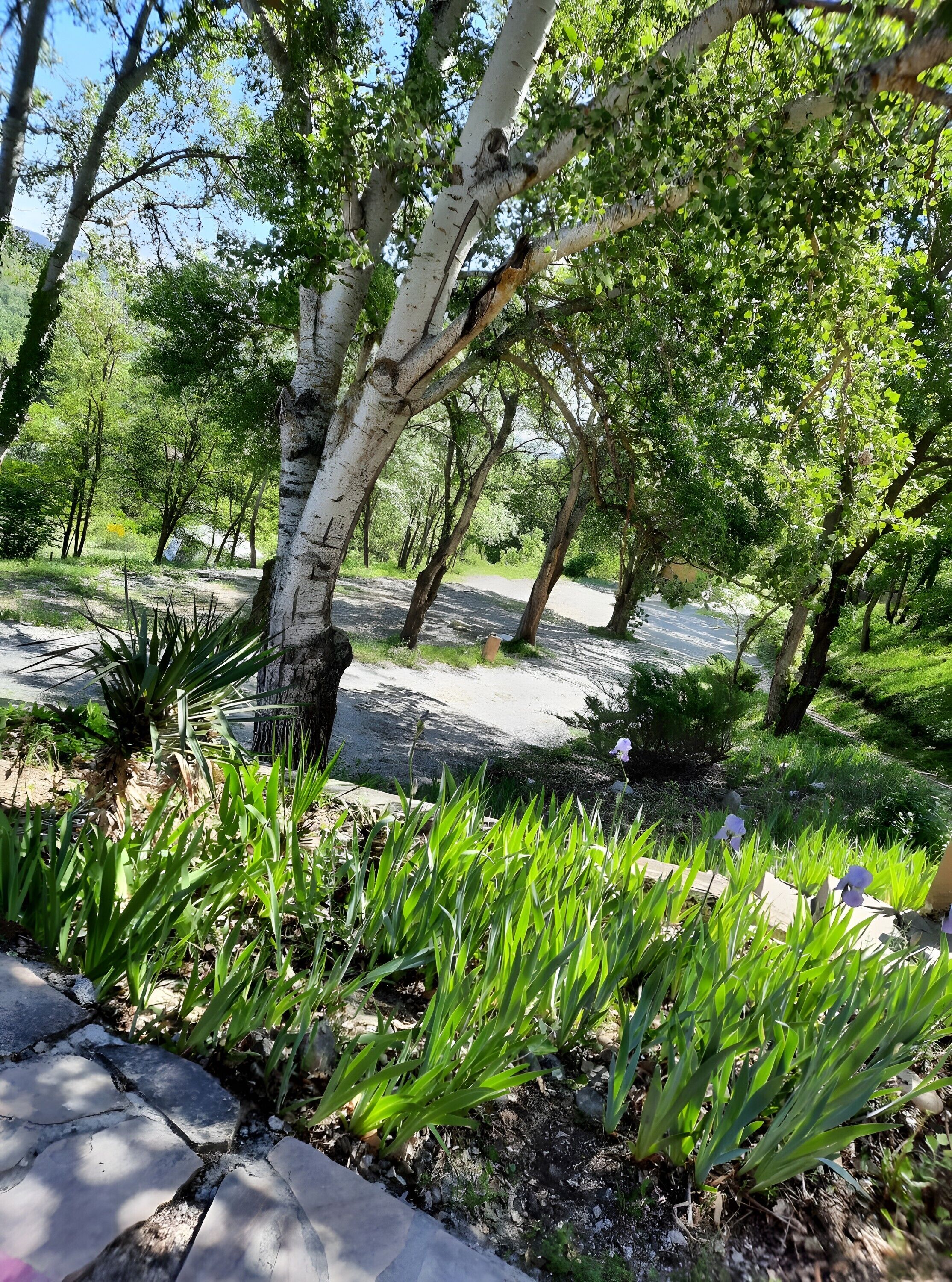 Jardines del alojamiento