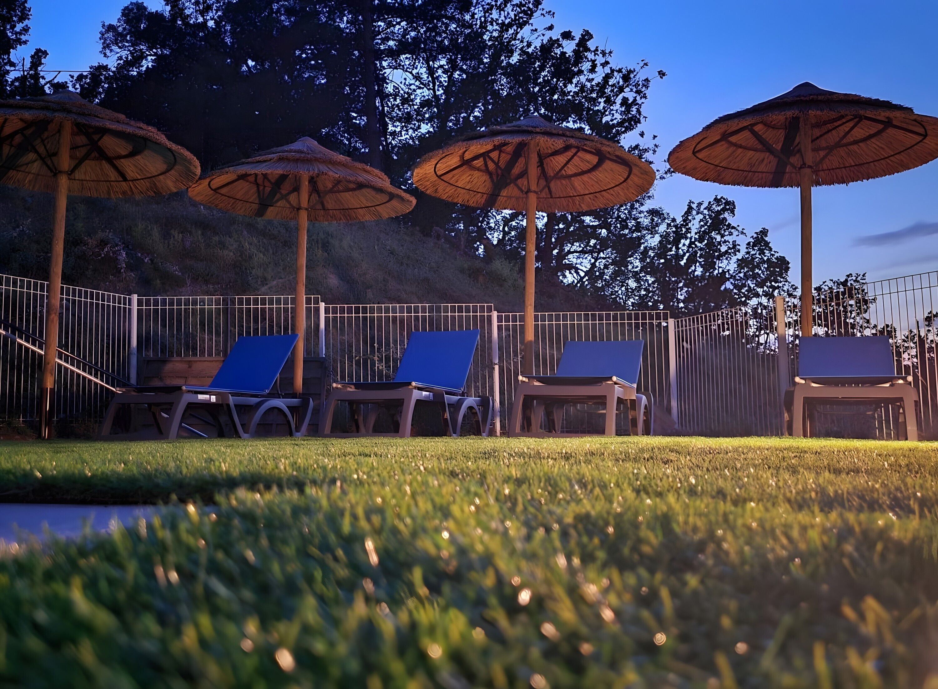 Jardines del alojamiento