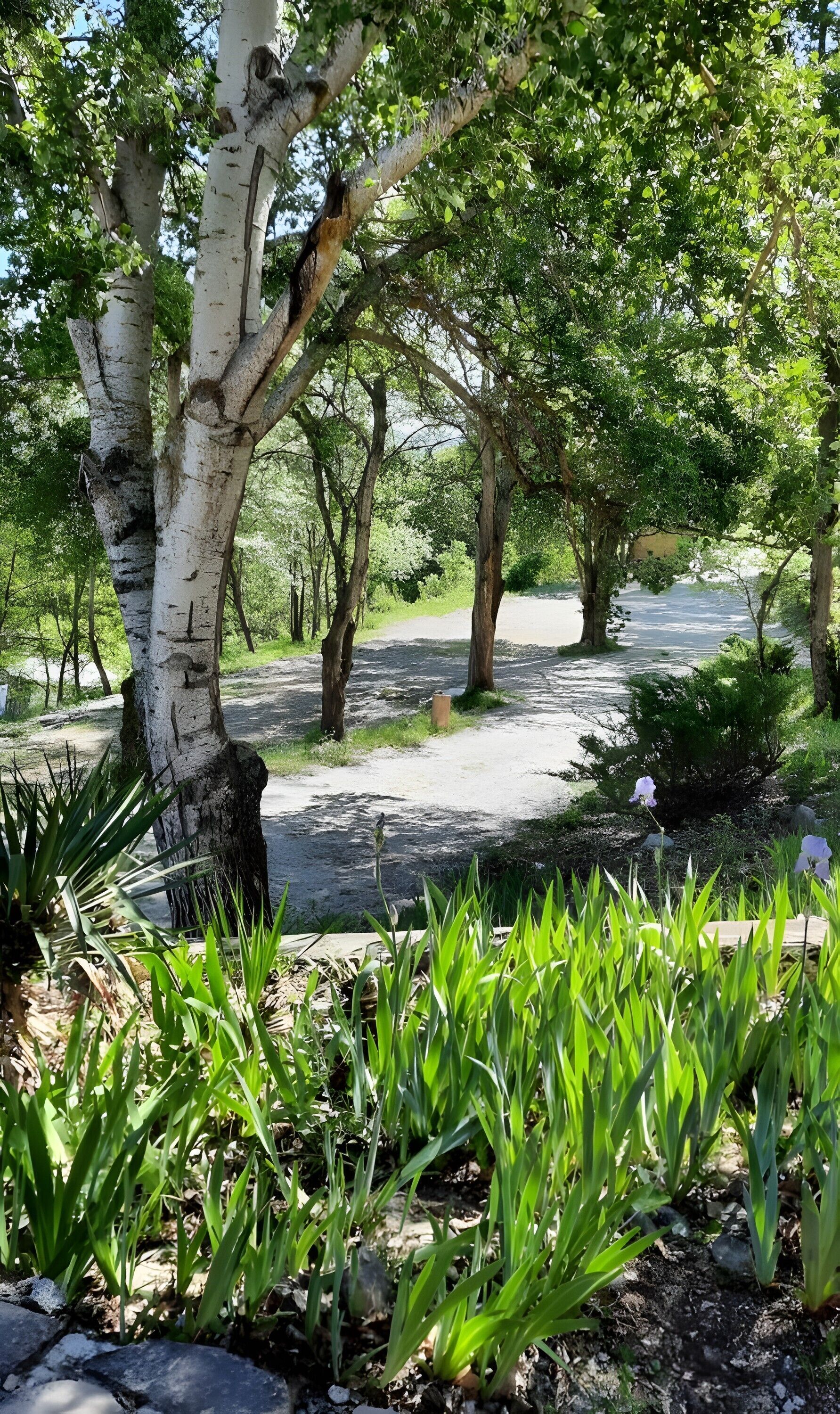 Área da propriedade